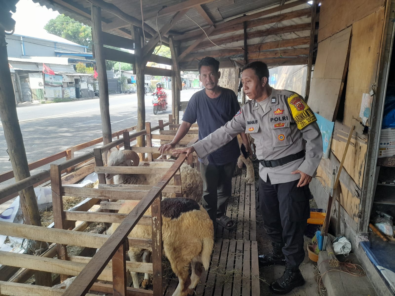 WhatsApp Image 2024-06-13 at 11.48.38