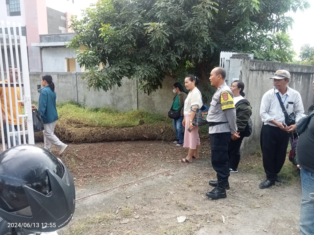 WhatsApp Image 2024-06-14 at 15.29.49