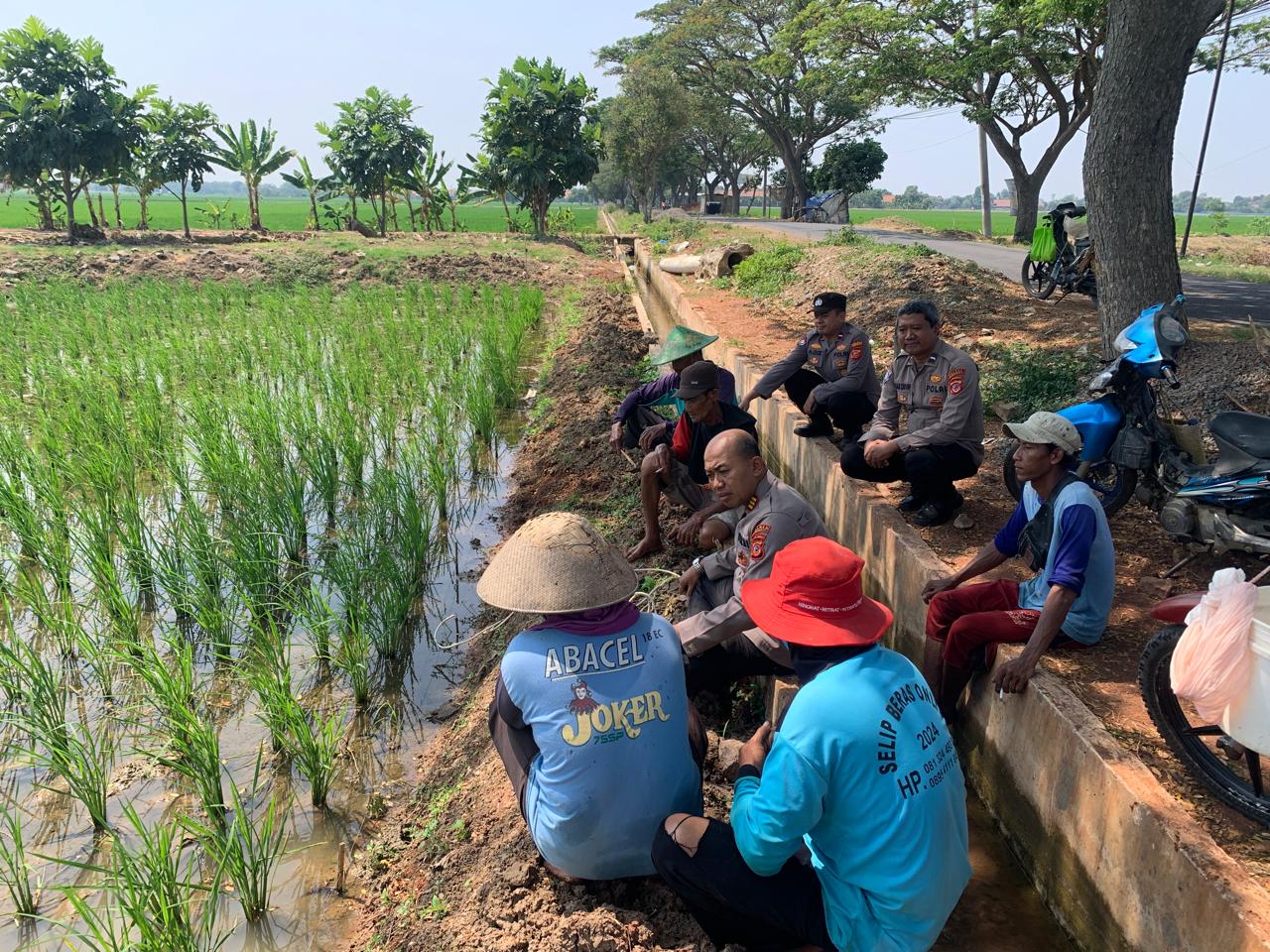 WhatsApp Image 2024-07-31 at 12.03.14