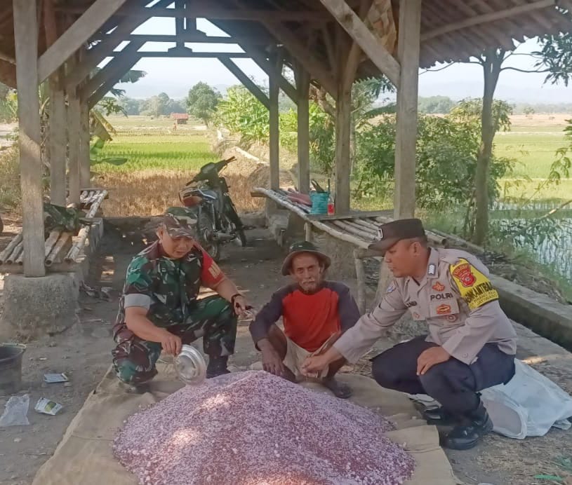 0e9dbbb8-e6f7-4927-a8a5-e79448052cd1