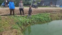 Sindang (1)