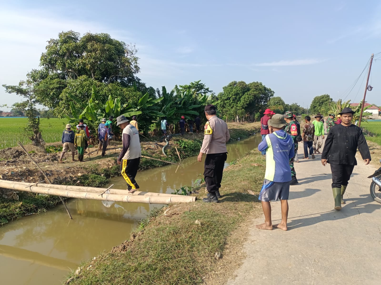 WhatsApp Image 2024-08-14 at 10.49.32