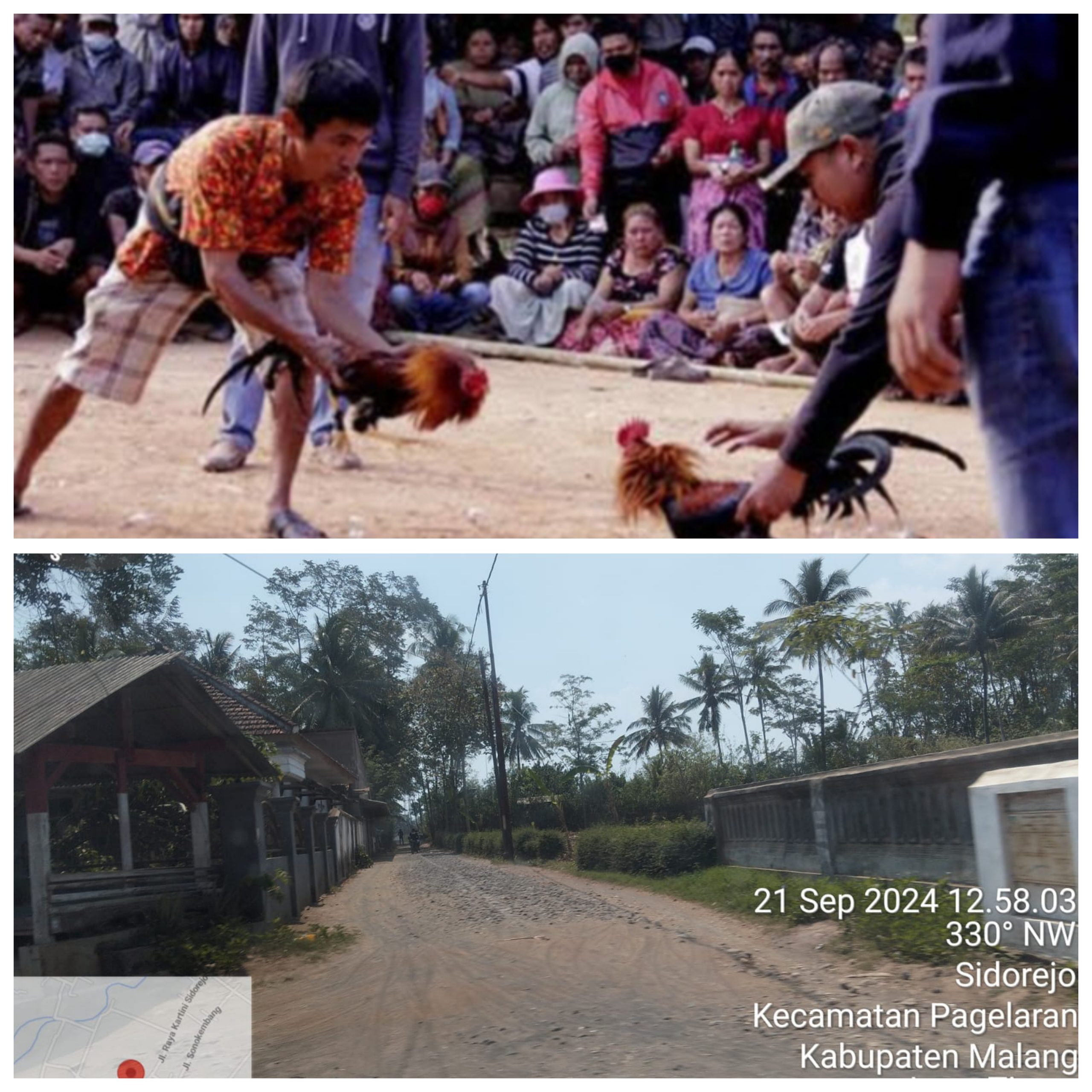 GridArt_20240926_062500239