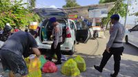 IMG-20240919-WA0018