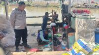 Balongan (3)
