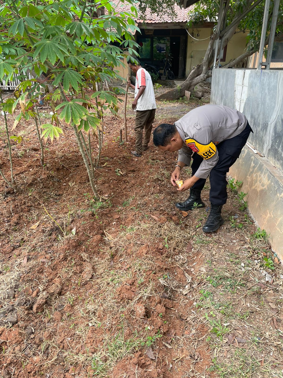 3c3cfa29-faab-46d2-b4c0-fc93d2723b83