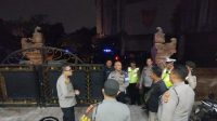 IMG-20241117-WA0005