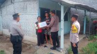 IMG-20241117-WA0015