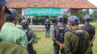IMG-20241119-WA0029