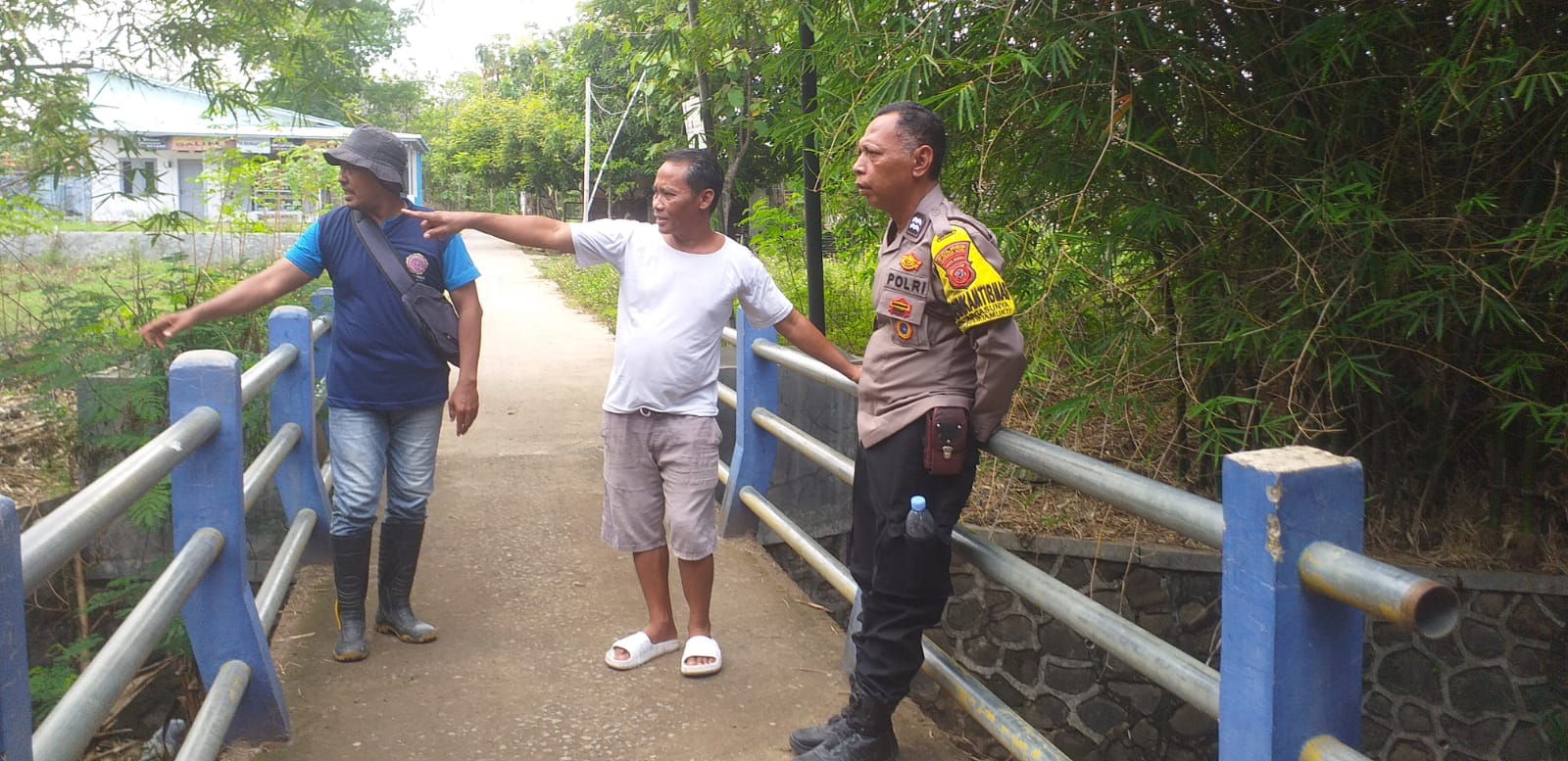 WhatsApp Image 2024-11-20 at 07.19.34