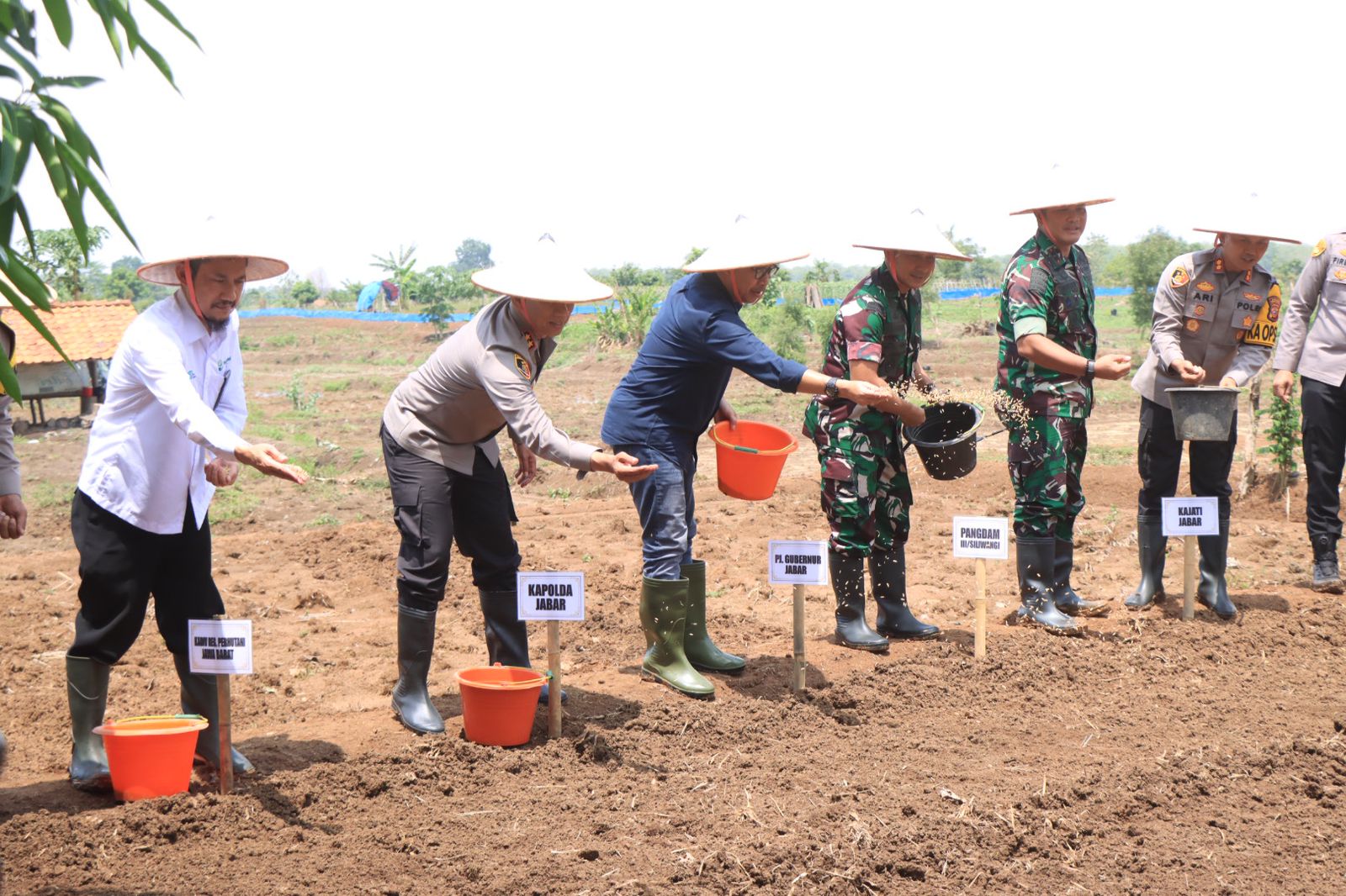 WhatsApp Image 2024-11-20 at 15.30.00 (1)