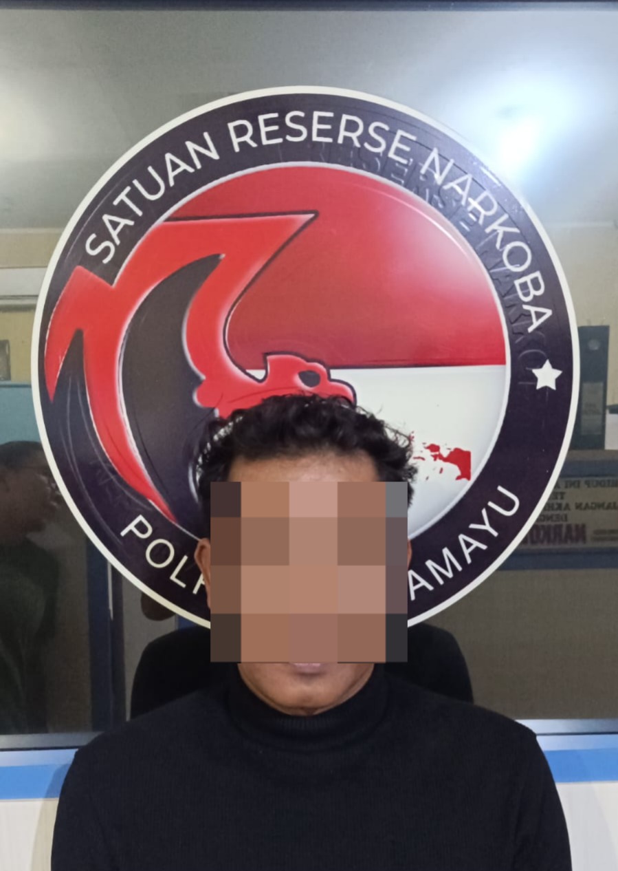 WhatsApp Image 2024-11-22 at 17.51.30