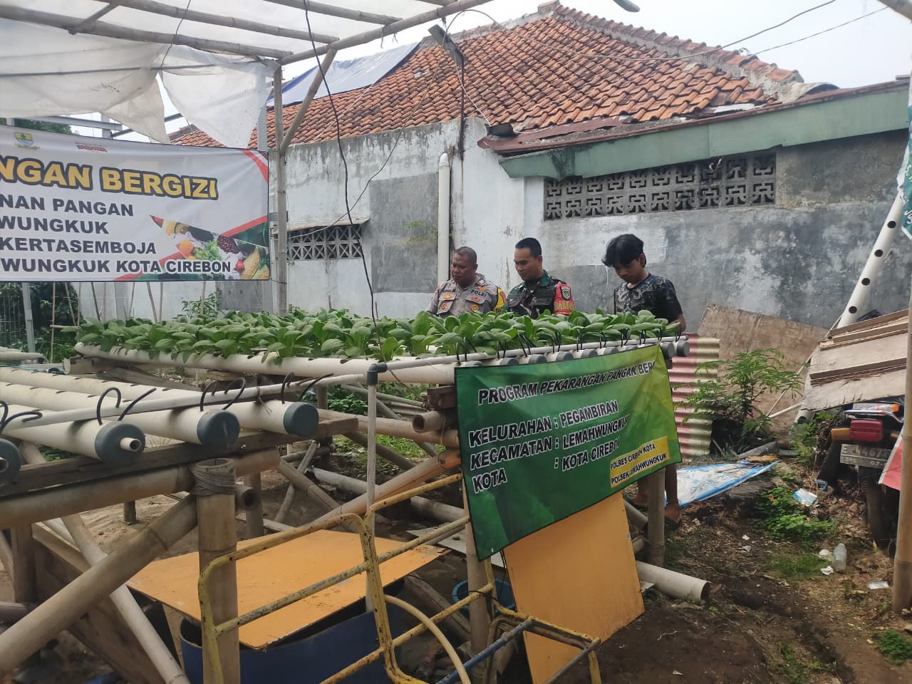 WhatsApp Image 2024-11-26 at 09.15.46