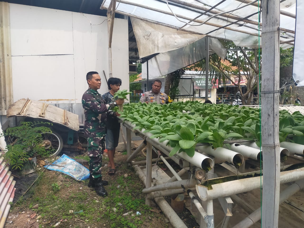 WhatsApp Image 2024-11-26 at 09.16.36