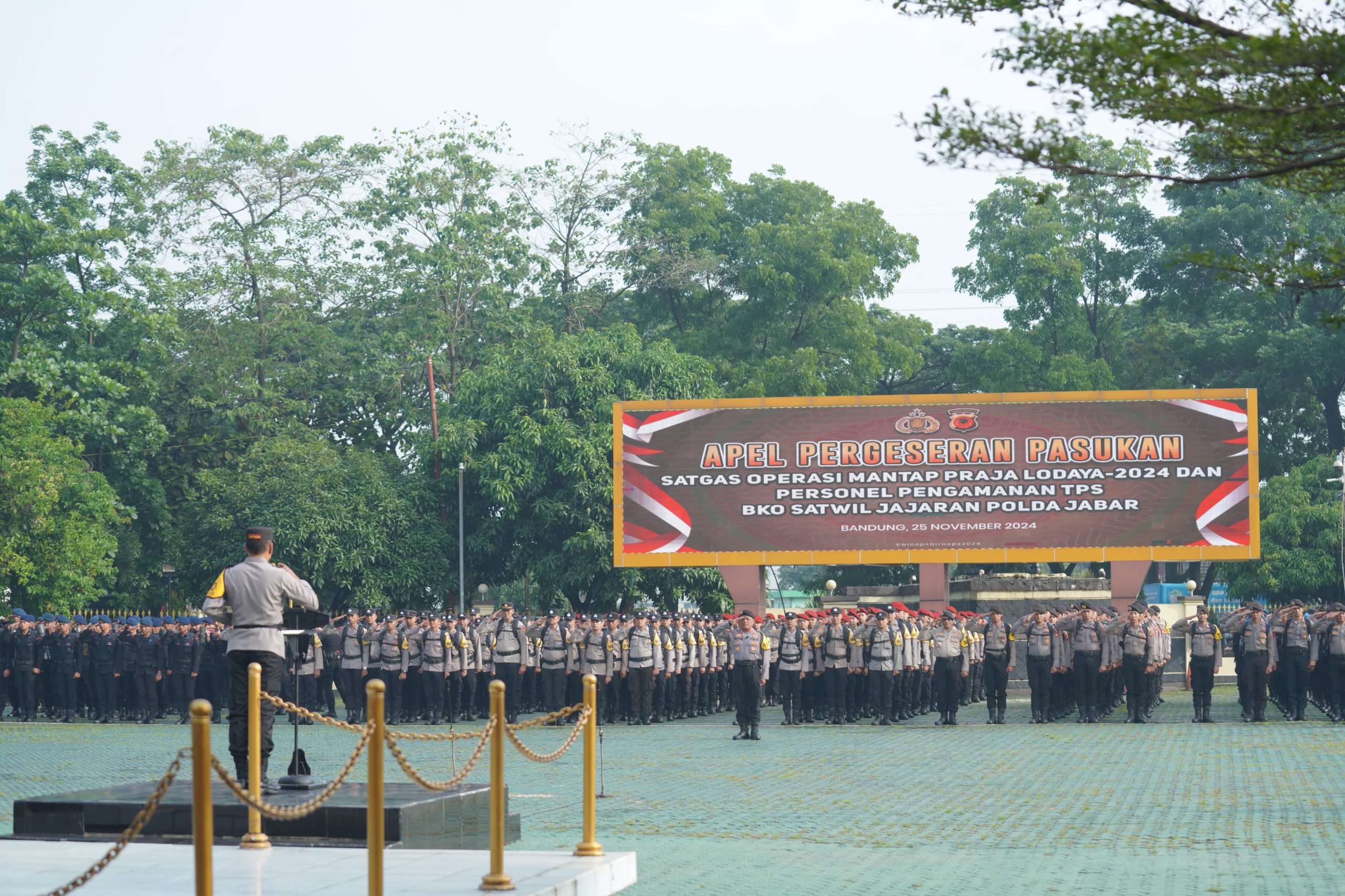 WhatsApp Image 2024-11-27 at 07.13.51