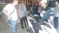 Gabus