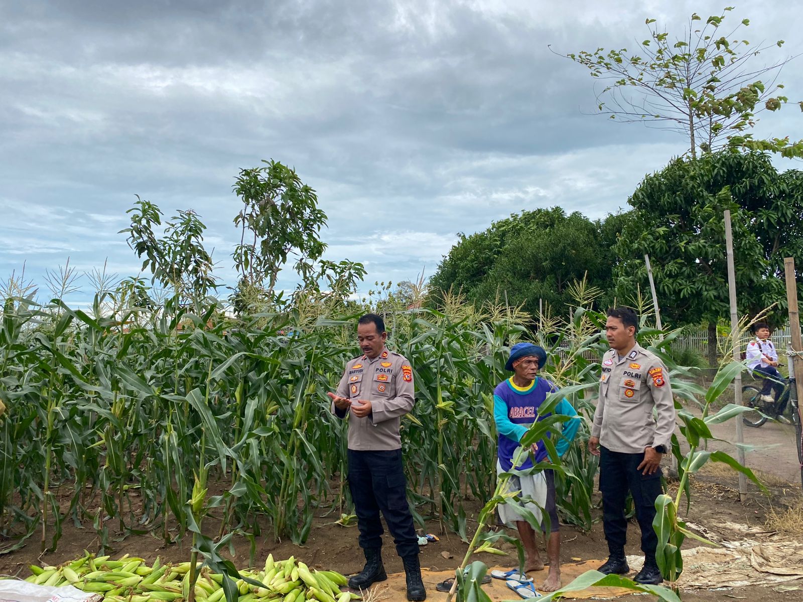 WhatsApp Image 2024-12-11 at 10.16.17