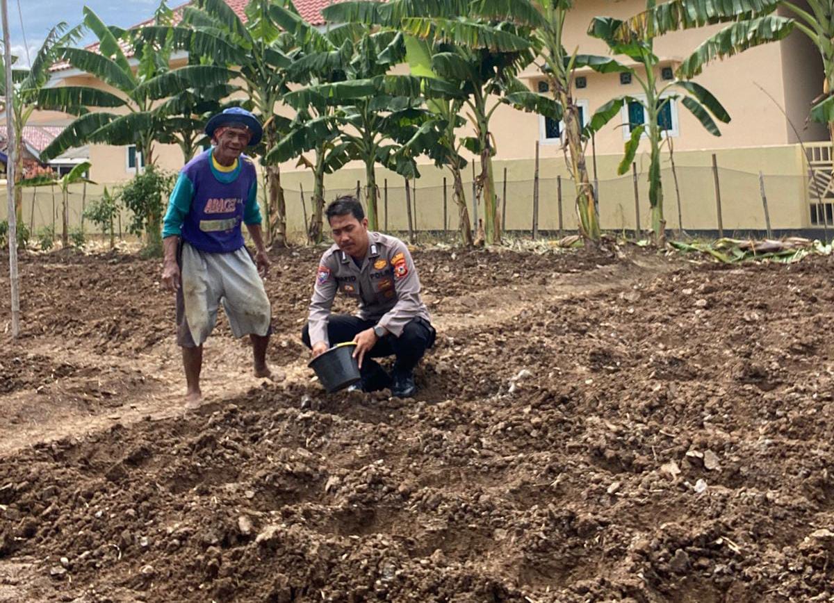 WhatsApp Image 2024-12-17 at 11.52.10