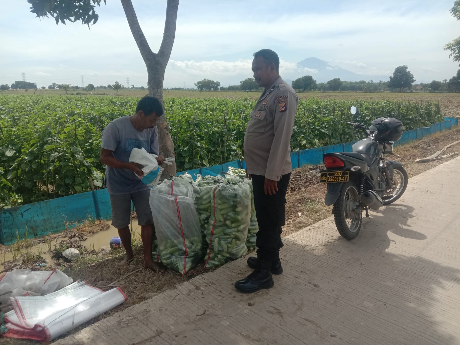 WhatsApp Image 2024-12-20 at 12.55.03