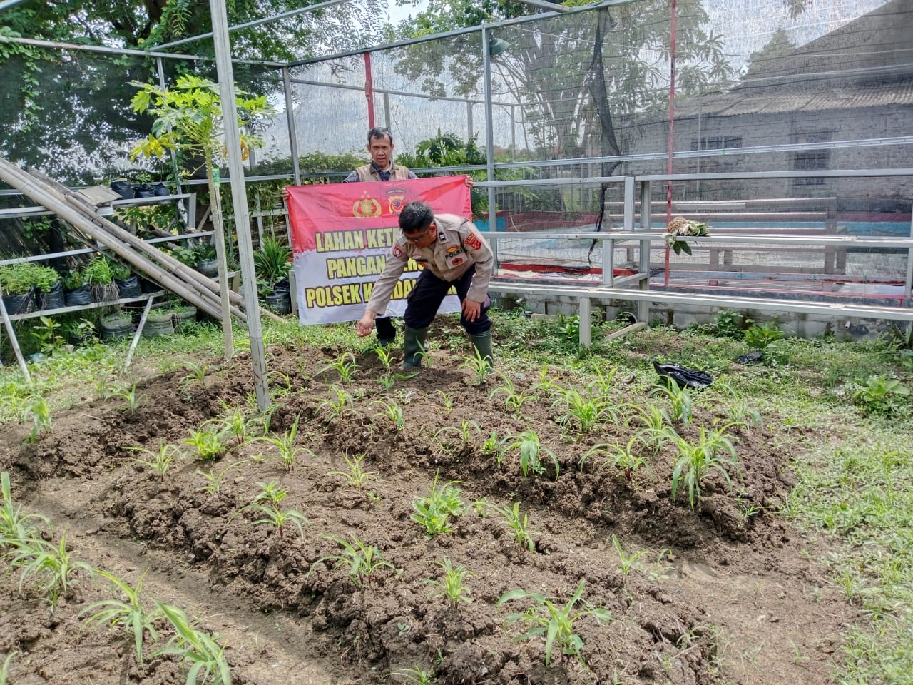 WhatsApp Image 2024-12-22 at 10.19.28