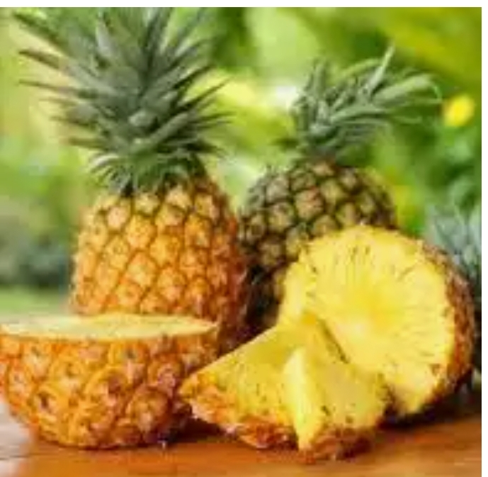 Screenshot_2025-01-29-22-04-34-593_com.google.android.googlequicksearchbox-edit