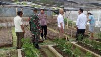 WhatsApp Image 2025-01-08 at 15.06.11