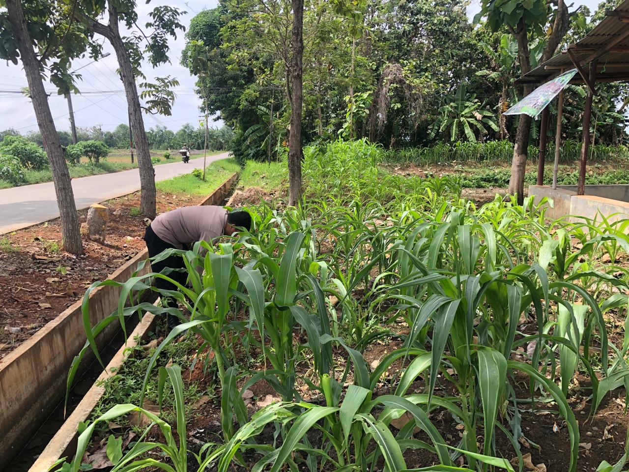 WhatsApp Image 2025-01-08 at 18.46.25