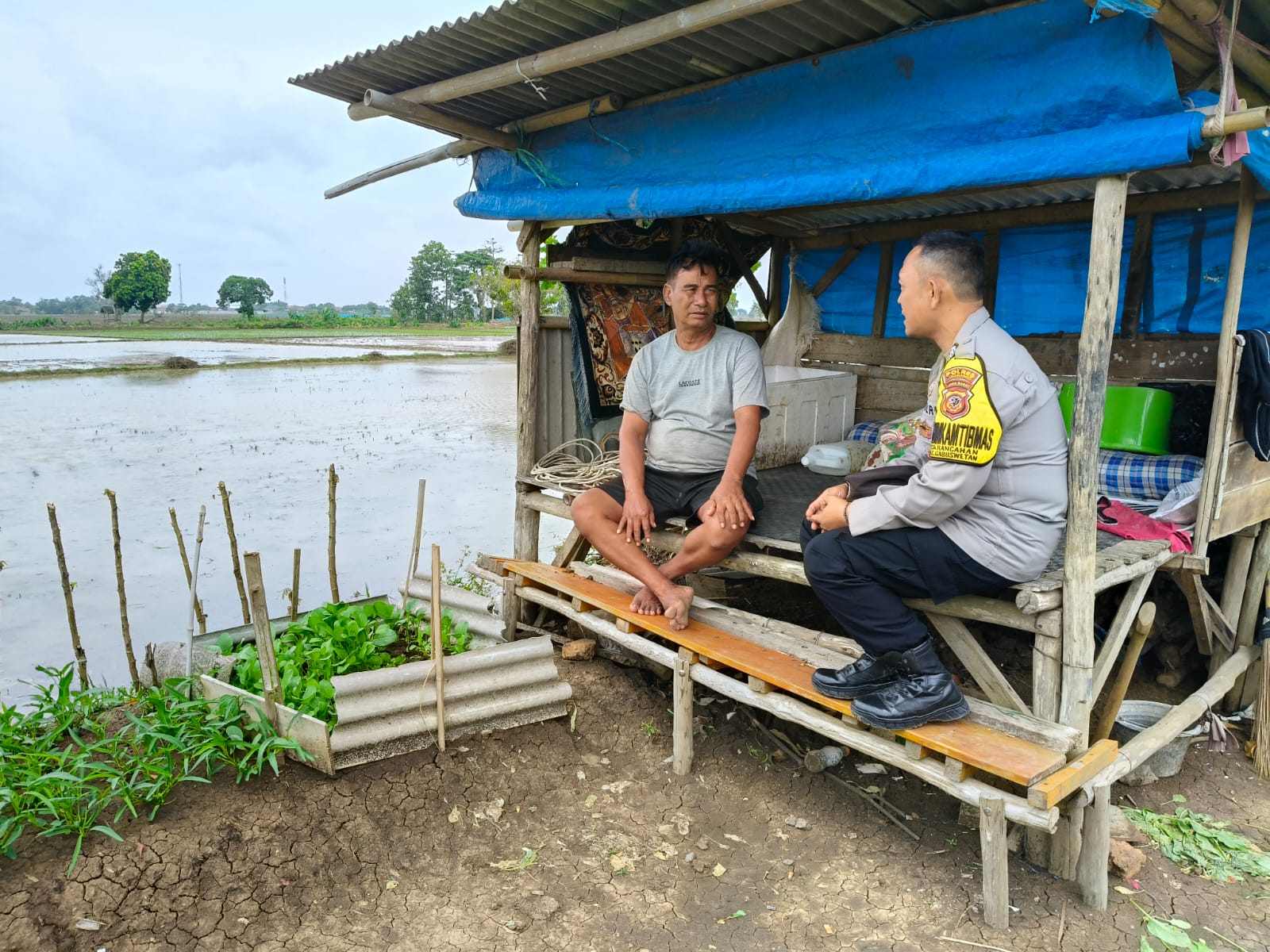 WhatsApp Image 2025-01-09 at 11.49.44