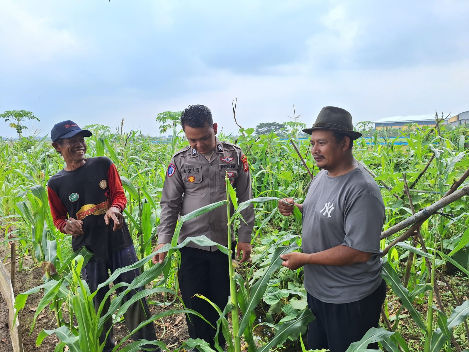 WhatsApp Image 2025-01-13 at 09.41.34