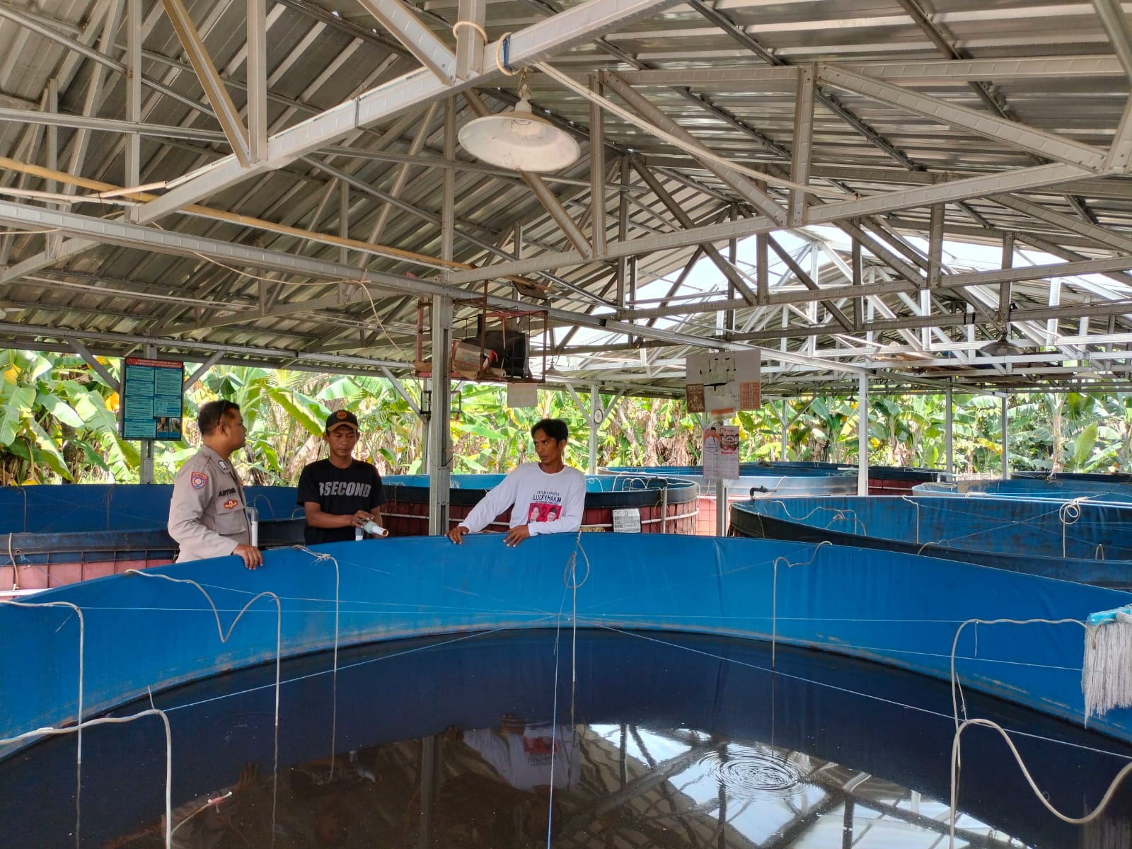 WhatsApp Image 2025-01-13 at 13.13.35