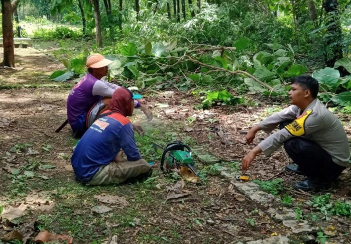 WhatsApp Image 2025-01-15 at 13.10.22