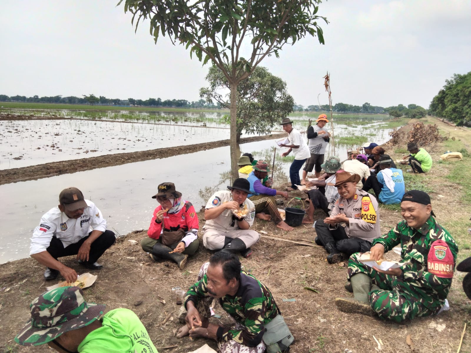 WhatsApp Image 2025-01-15 at 17.19.01