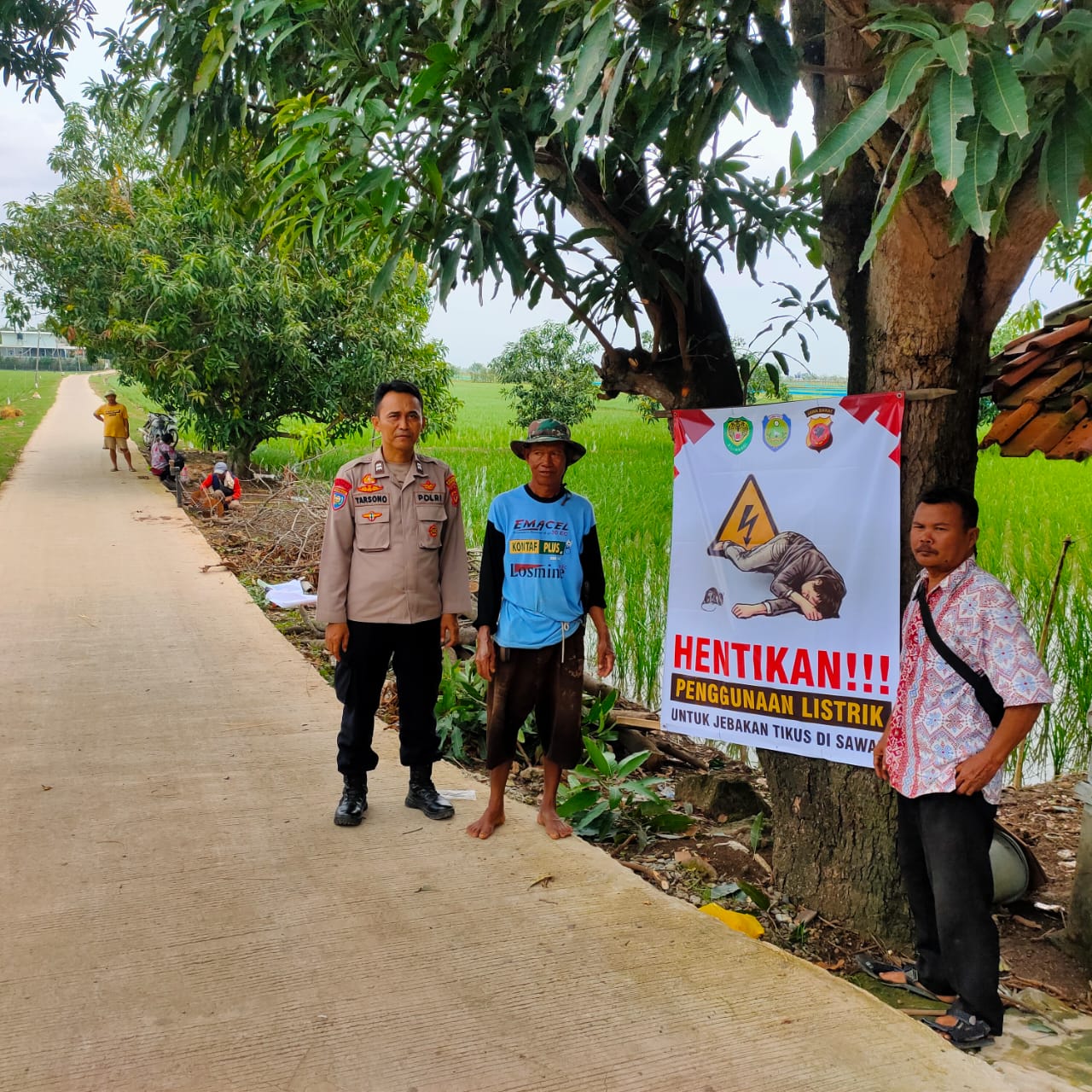 WhatsApp Image 2025-01-24 at 06.17.02