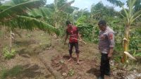 WhatsApp Image 2025-01-24 at 09.35.37