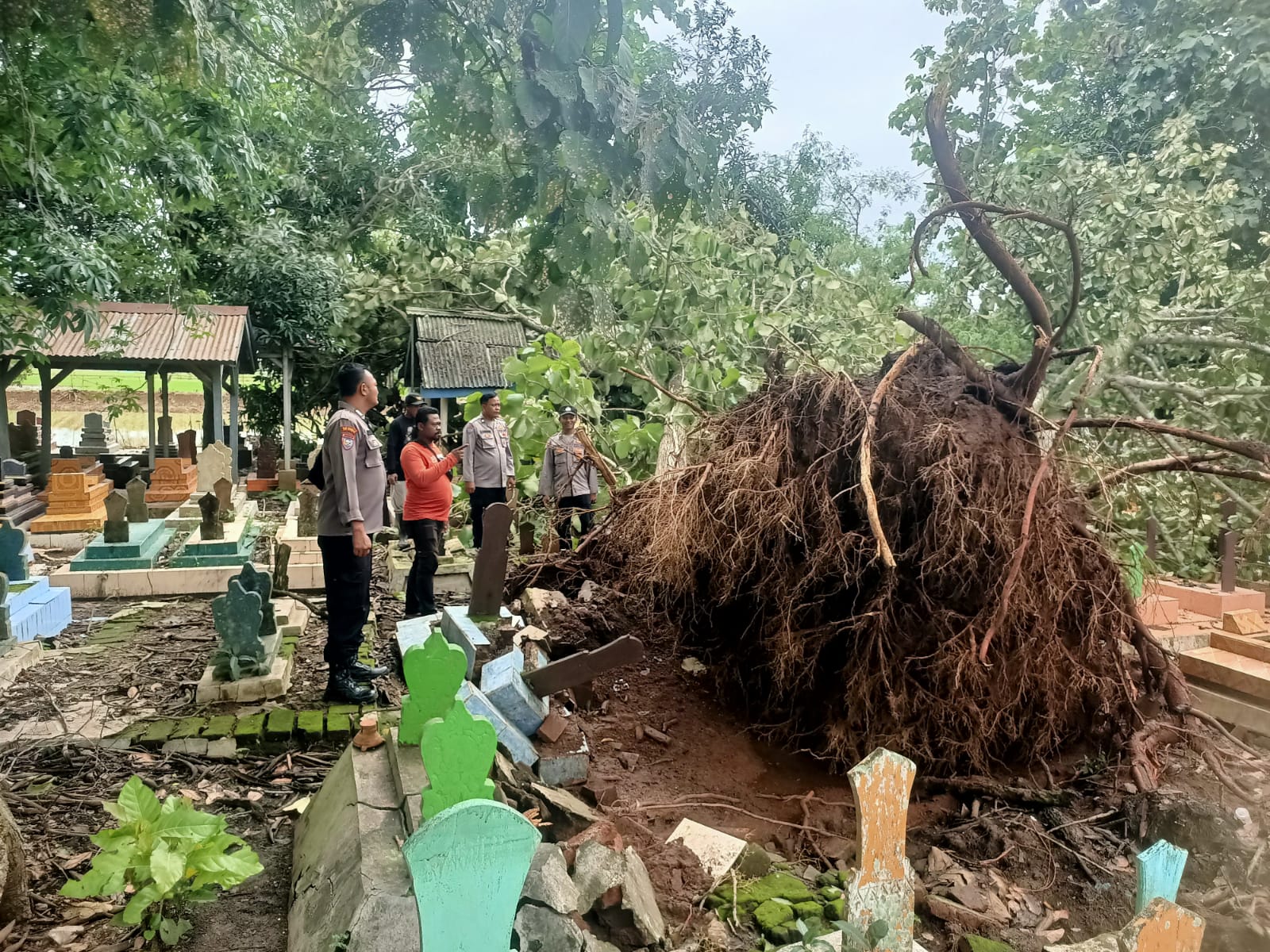 WhatsApp Image 2025-01-29 at 17.33.43