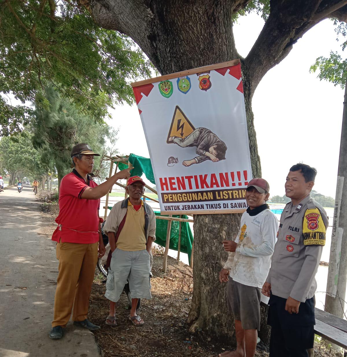 WhatsApp Image 2025-01-31 at 15.14.22