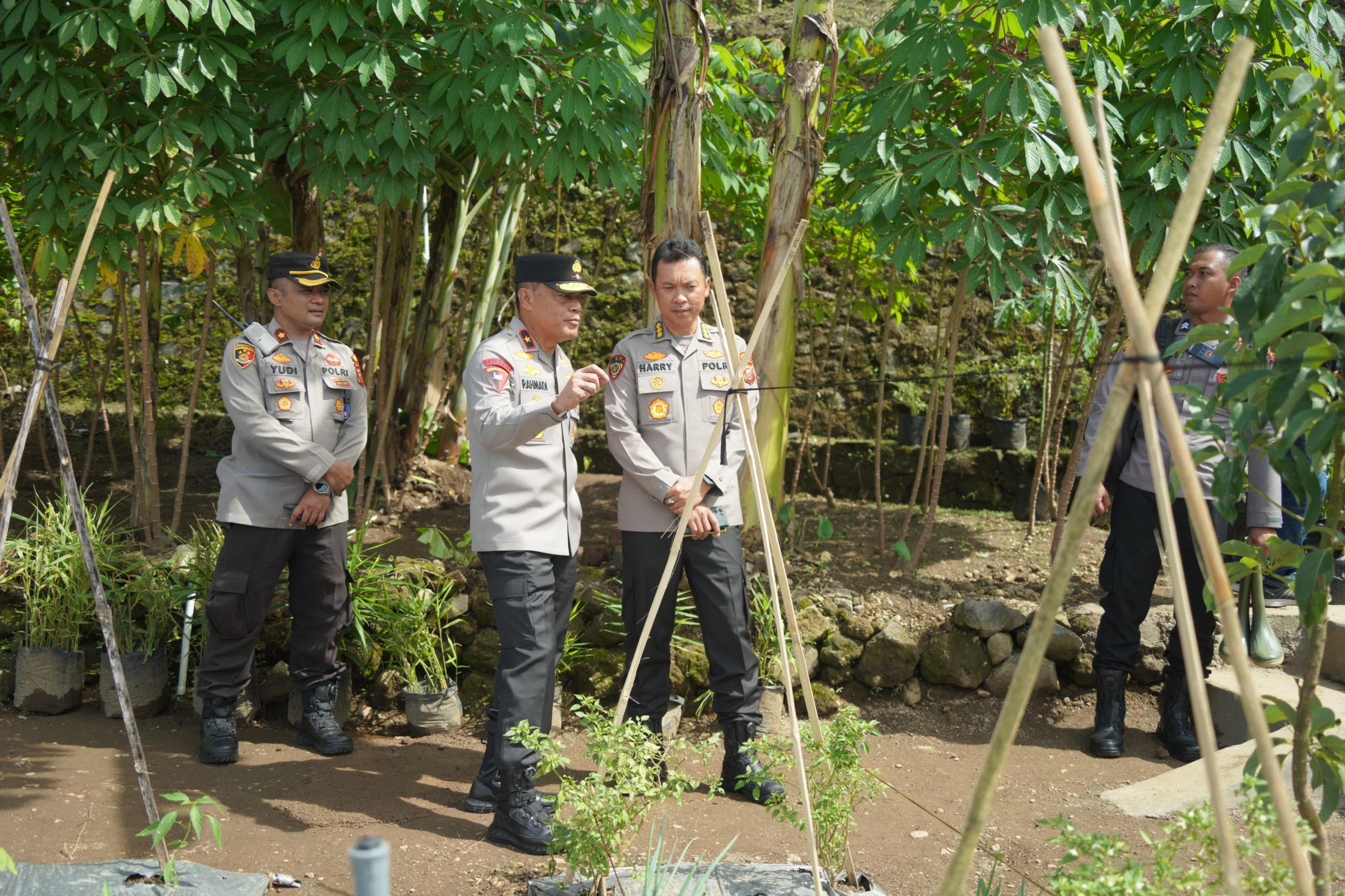 ed114032-fedf-43f1-acbe-c5af025c9e75