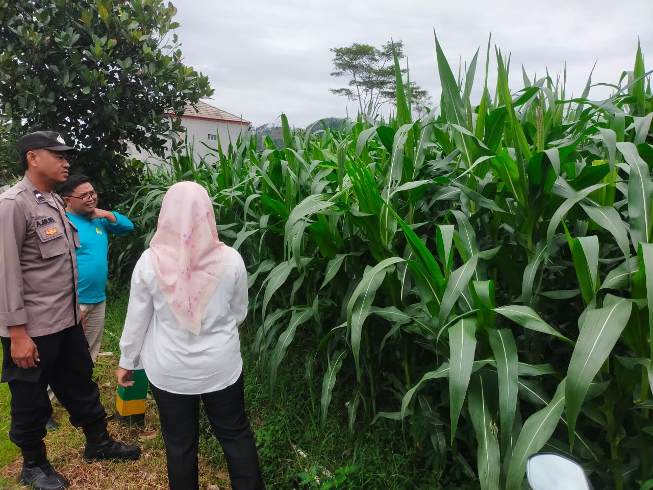 411b7ced-6c87-4213-a81c-f0ad5d58c399