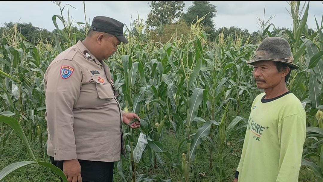 8bc137c6-ef1c-4ded-a262-e235504890a8