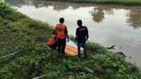 Gambar WhatsApp 2025-02-14 pukul 19.31.34_87e39bfd