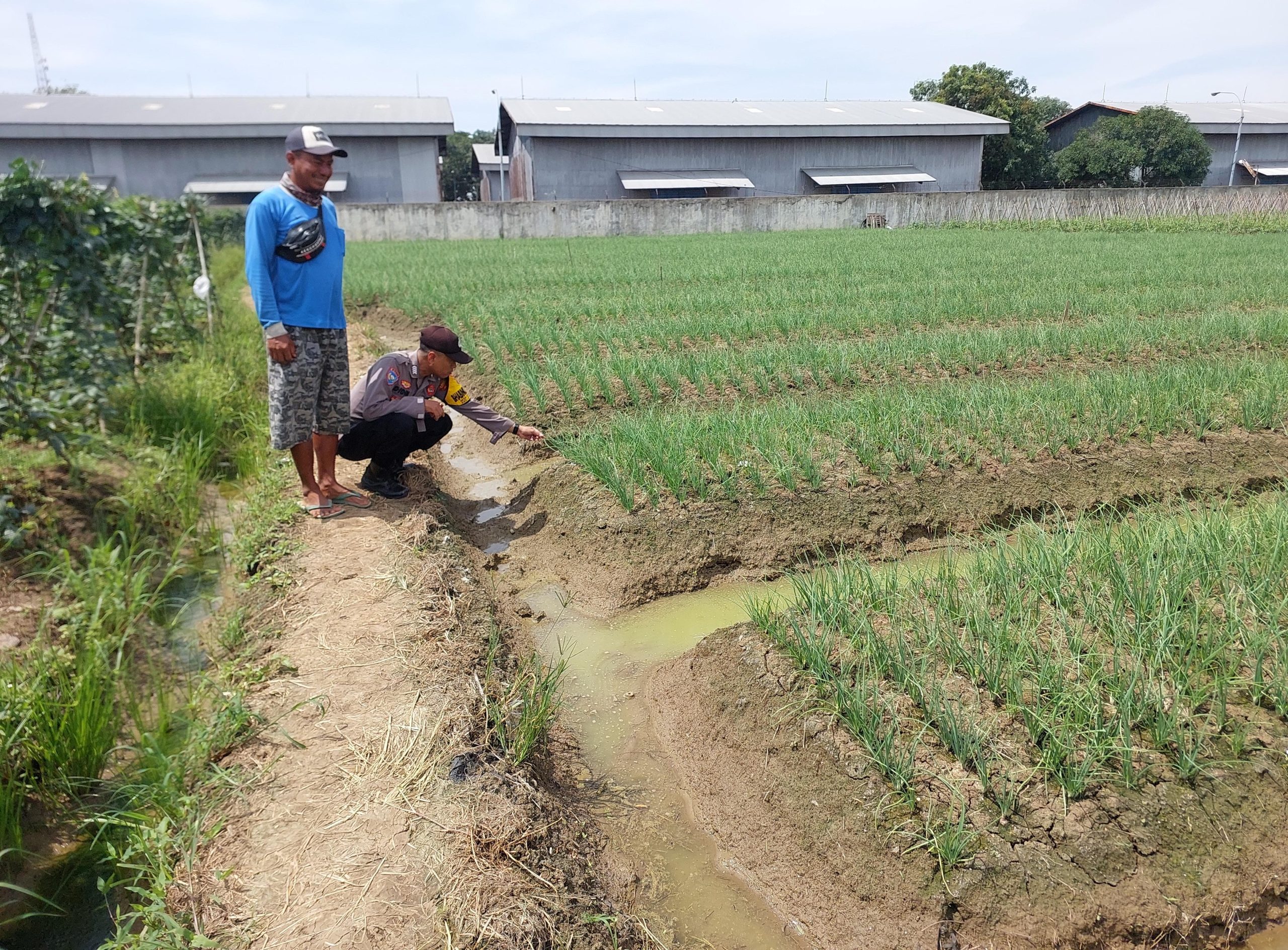 Gambar WhatsApp 2025-02-17 pukul 13.43.00_52caa1b1