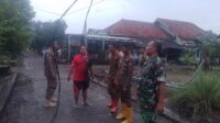 IMG-20250214-WA0007