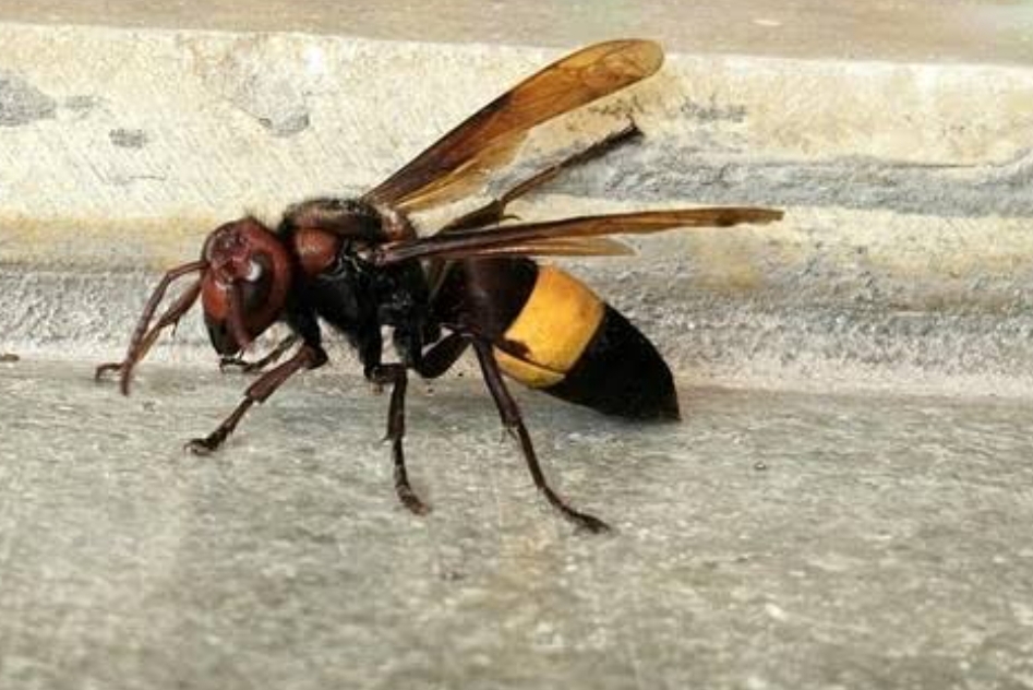 Screenshot_2025-02-07-18-17-59-849_com.google.android.googlequicksearchbox-edit