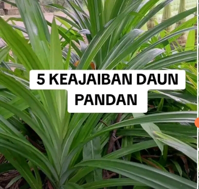 Screenshot_2025-02-11-23-21-56-479_com.ss.android.ugc.trill-edit