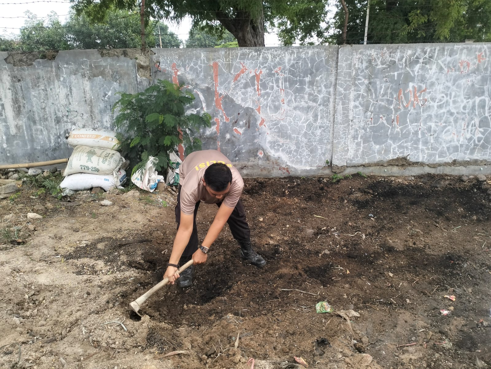 WhatsApp Image 2025-02-09 at 12.49.41