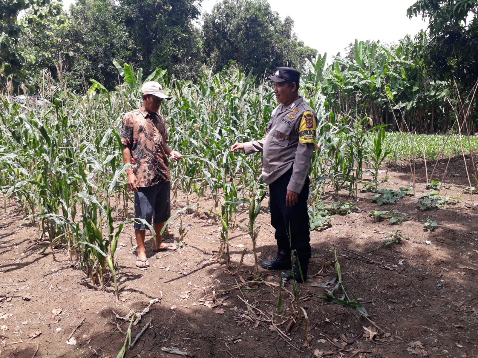 WhatsApp Image 2025-02-09 at 12.49.44