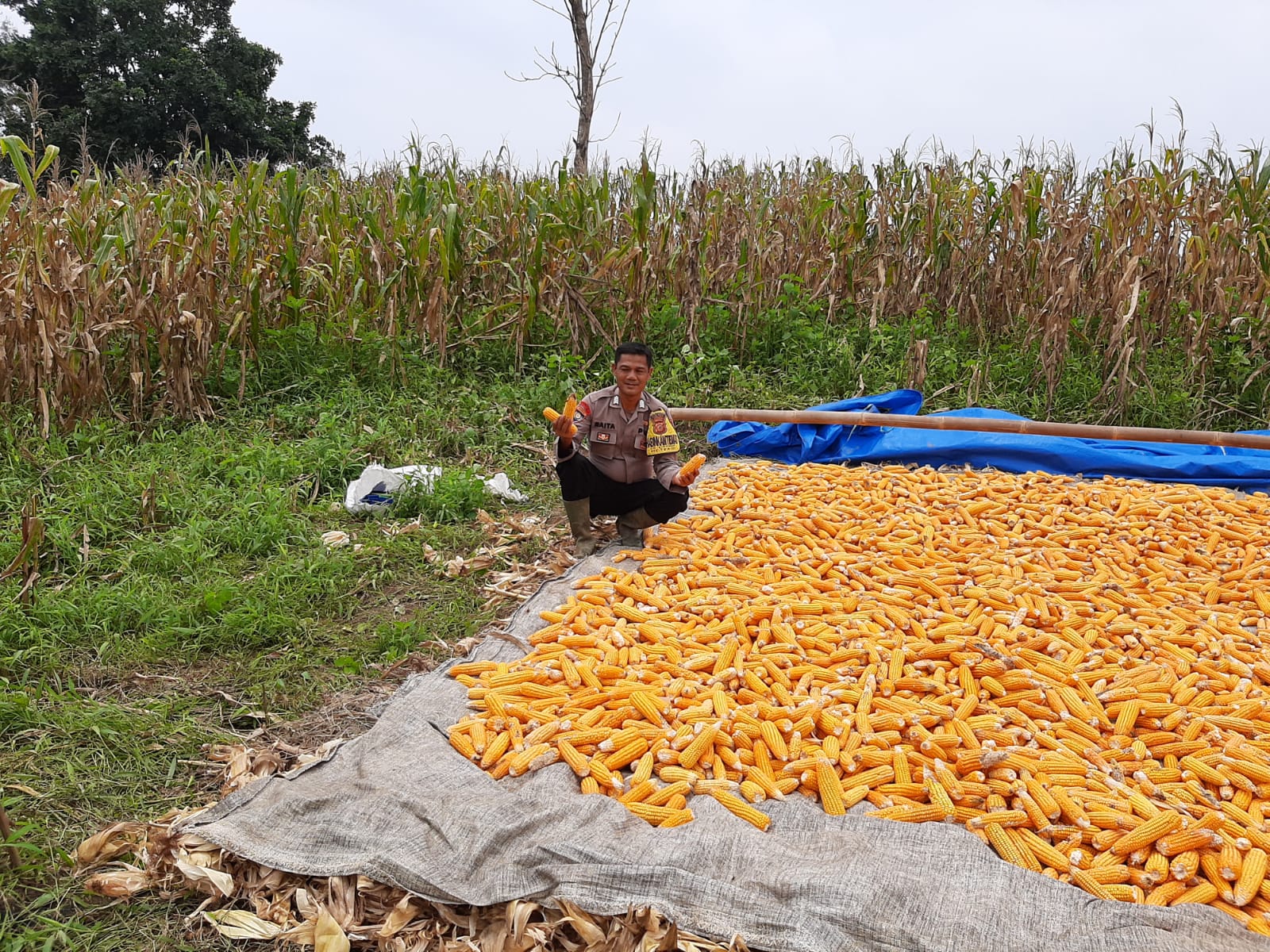 WhatsApp Image 2025-02-17 at 09.28.53