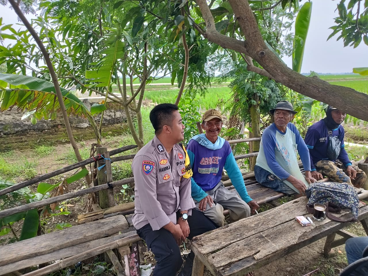 WhatsApp Image 2025-02-18 at 15.09.32