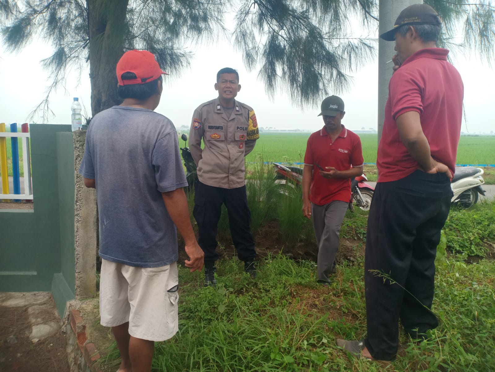 WhatsApp Image 2025-02-20 at 12.37.31