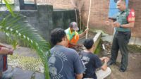 IMG-20250311-WA0027